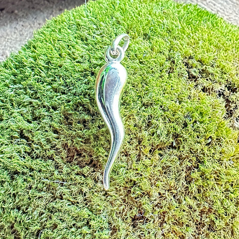 5 Pendant FORTUNA'S BLESSING  10K Gold Italian Horn Cornicello Charm