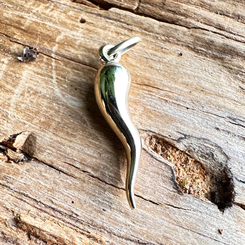 Pendant FORTUNA'S BLESSING - 10K Gold Cornicello